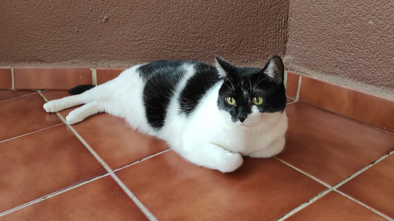 Luna